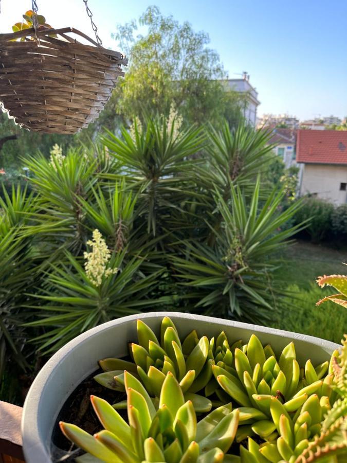 Location De Chambre Privee Dans Residence Prive, Jardins Et Parking Gratuit 1 Min To Tramway Et 9 Min De Centre-Ville, Accessibilite A Plusieurs Transports Niza Exterior foto